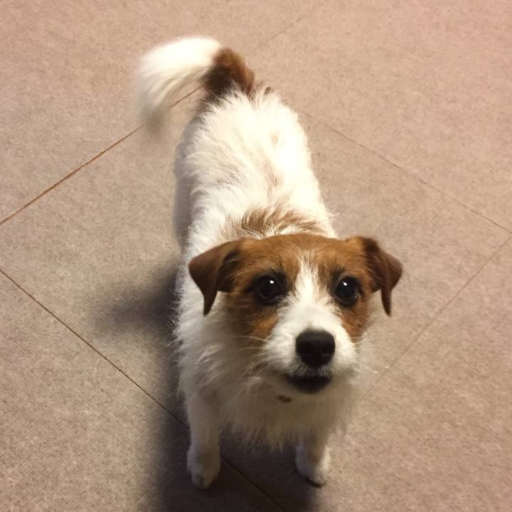 Ce143fb1 8cda 4f62 938a bf7939806f2b