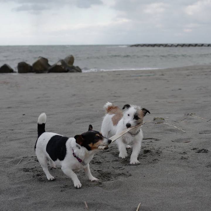 Ce14a211 08b2 4ab0 9f80 8ff3c05b881f