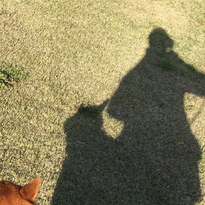 Ce14d444 9462 4384 ae50 5b70fc0508eb