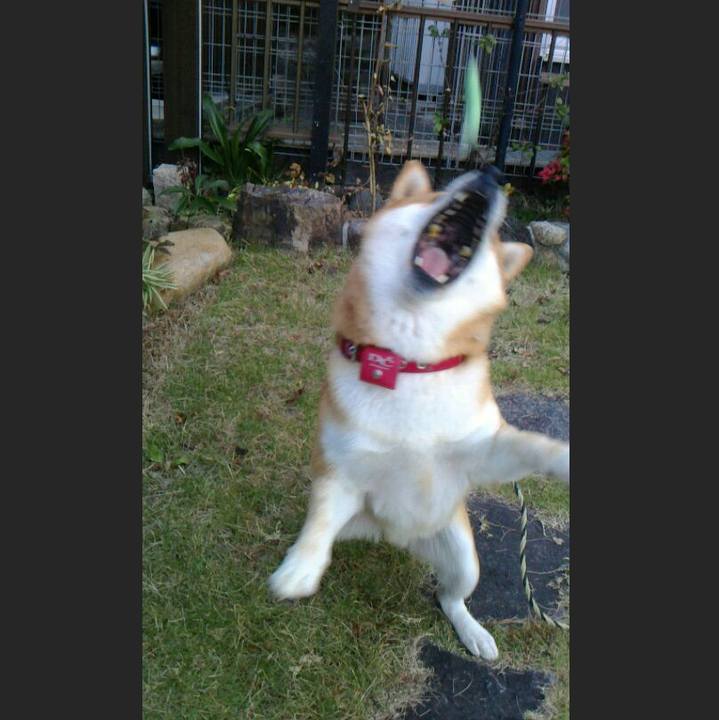 Ce15aec5 ab72 4f1e bf51 3da325a91339