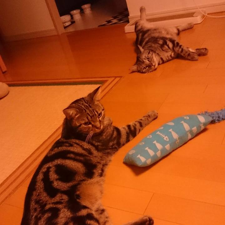 Ce161197 7973 49a4 b5a2 31408ef2ccd4