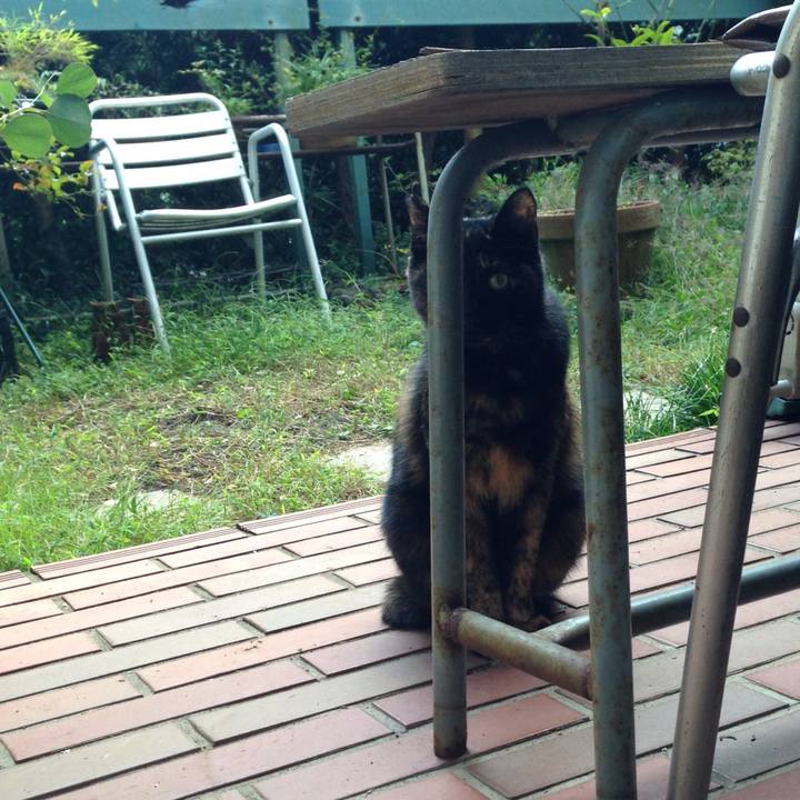 Ce165357 116c 4152 a41a a8035ec0d64b