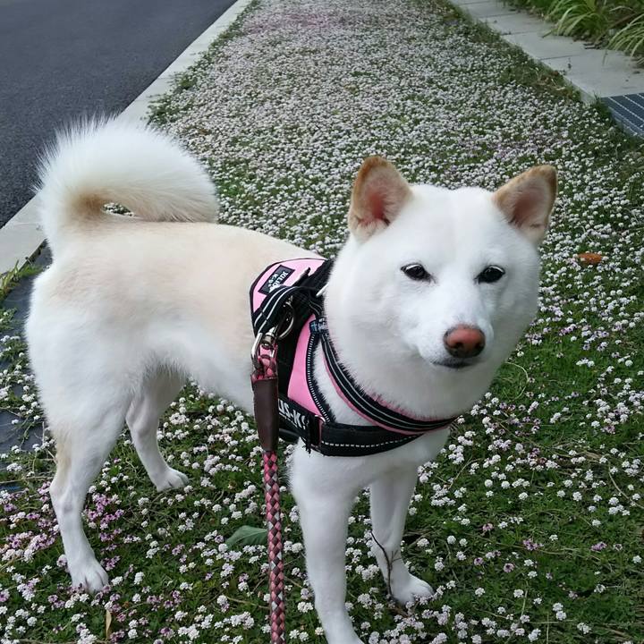 Ce166c73 b7e1 4618 80b4 4d16a84c938a