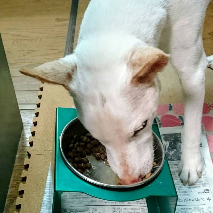 Ce1683eb 0c44 4793 8fe6 25705de9cb0b