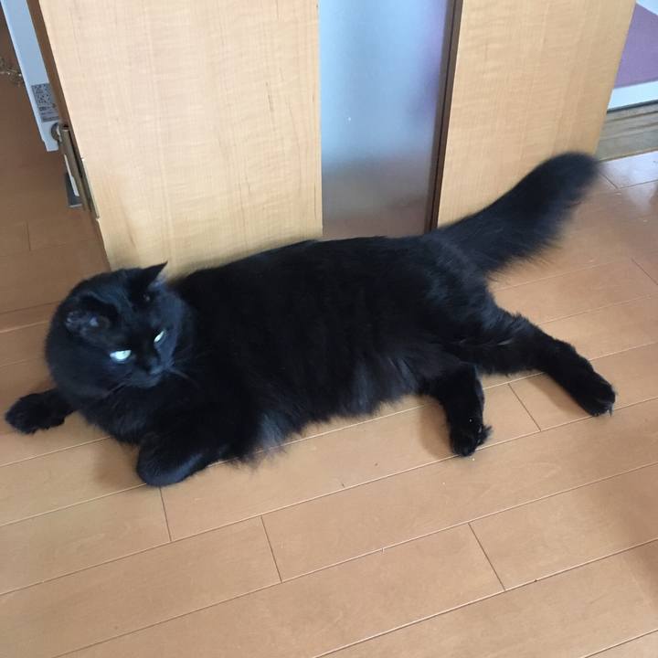 Ce168da2 fbf5 4fbb 8252 4be51aa890d5