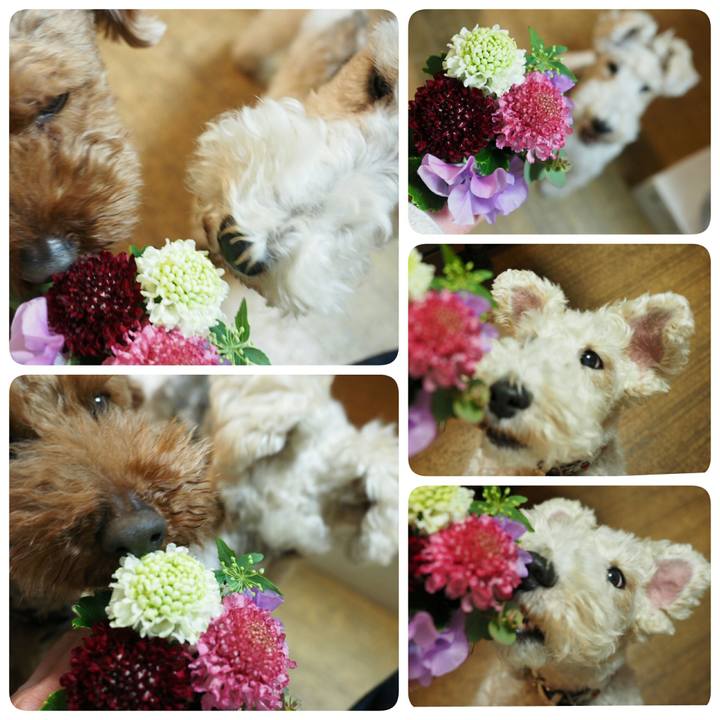 Ce1691aa 1289 4b39 a7df 2f7d538aa570