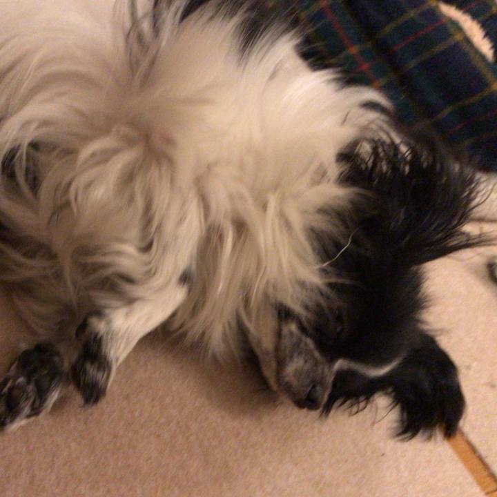 Ce16af64 3e0d 4c78 909b b7b98ff90458