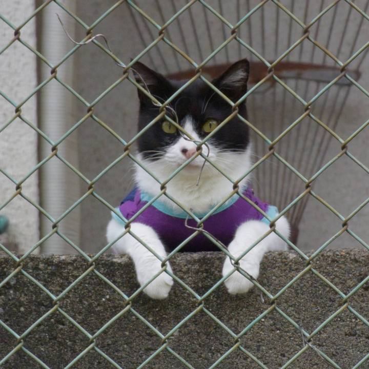 Ce16f3d3 92e6 4b6c afa9 ce83fd411ae8