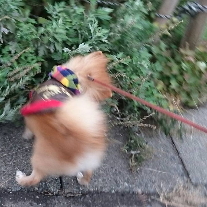 Ce1762f6 2da1 4ff8 a2e5 684d33a4c9b7