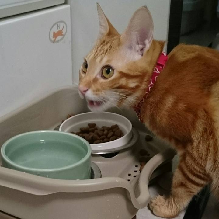 Ce177a2c 7903 4c2d 8425 8c9990d9cd81