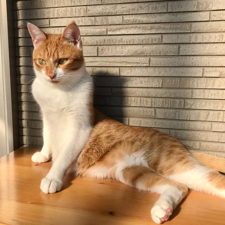 Ce17a40e 6b05 46ad bed1 94d7626b79d6