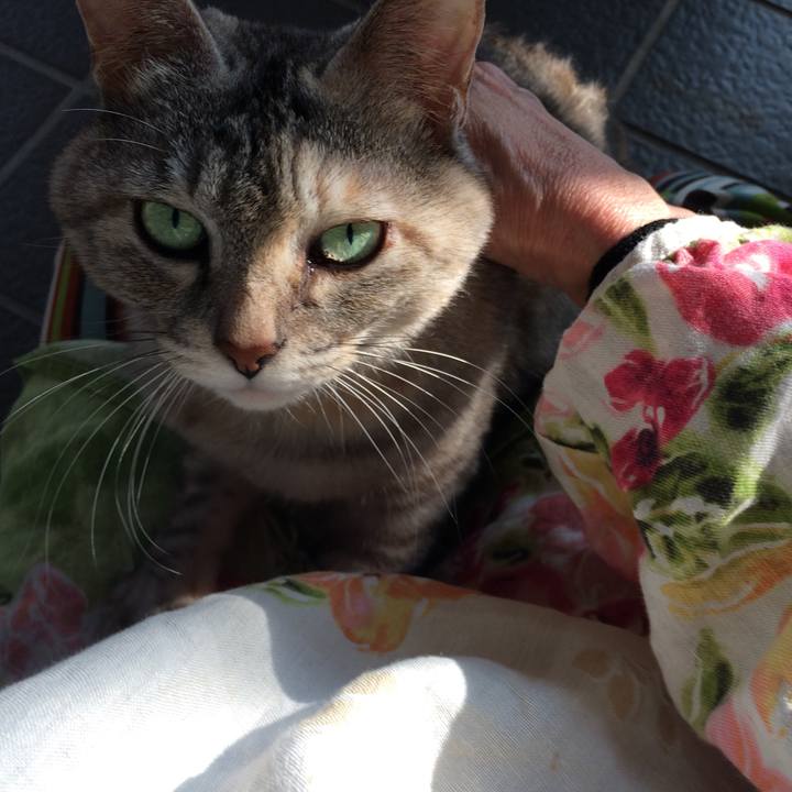 Ce180f65 5eae 44f4 811c b9845992641e