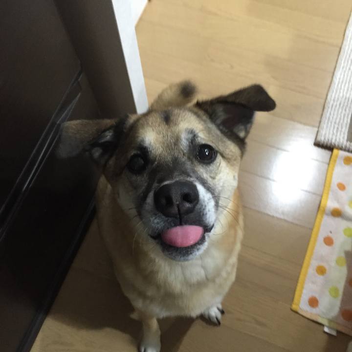 Ce1900c8 fac9 4d00 bad5 d90aaddd2114