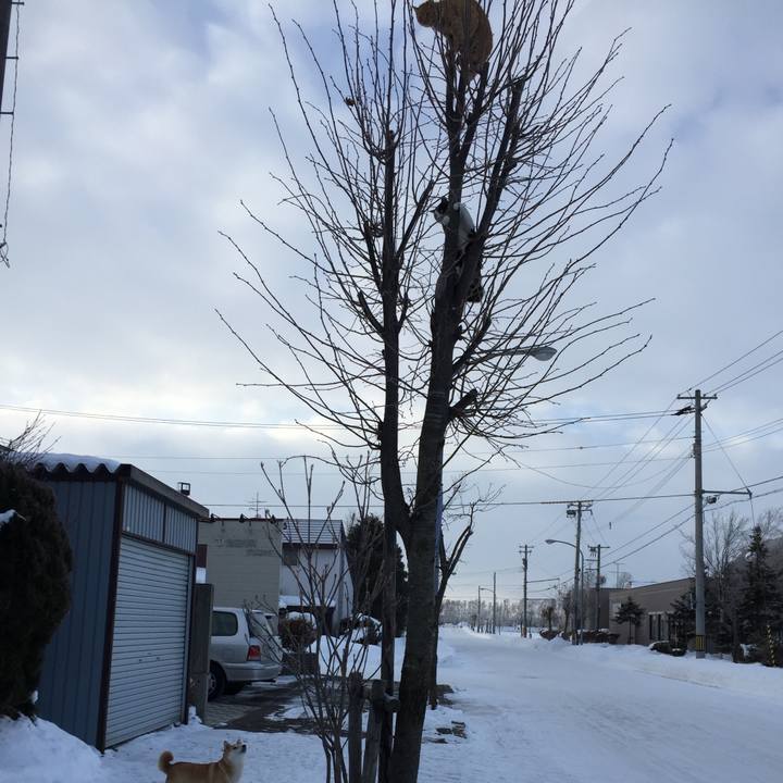 Ce1917f0 dd67 4f28 ad31 1ebe53480fef