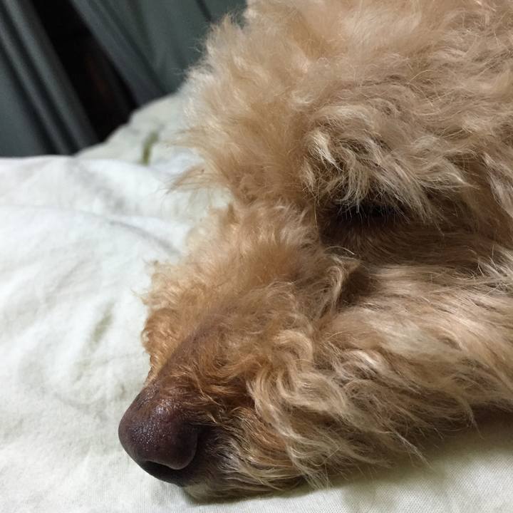 Ce198bbd 48cc 4834 aa19 a69aaaec14d6