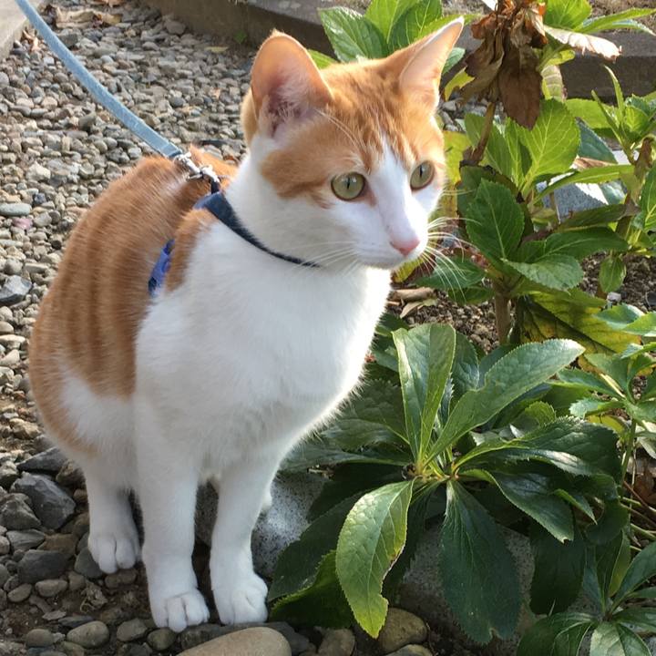 Ce19ad7e 2bc8 42ff 8803 c83a5ac07ea9