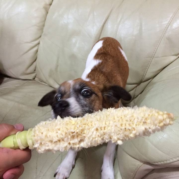 Ce1a0bc6 c8d0 41e5 a509 4728c0337210