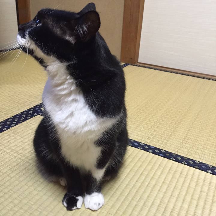 Ce1a4f8f 1492 4c2d a30f e80755e81513