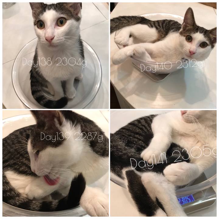 Ce1b03d4 513f 4c09 b205 718725e3fb46