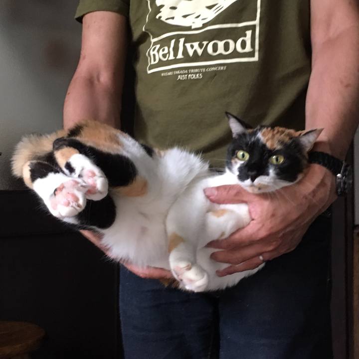 Ce1b2b9b 4fd3 4cd1 bb7f a532a750432b