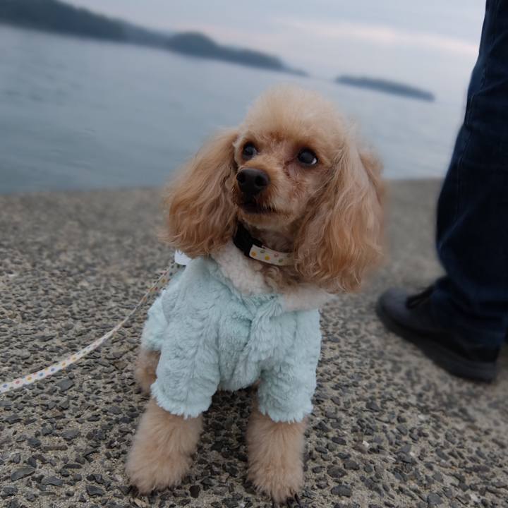 Ce1b8191 ccf4 4ea5 bf55 148fd0d91c5e