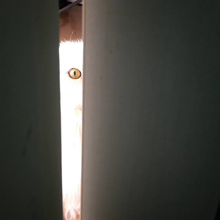 Ce1ba4b3 cc2b 4f2f 8da2 c55862ef1f12