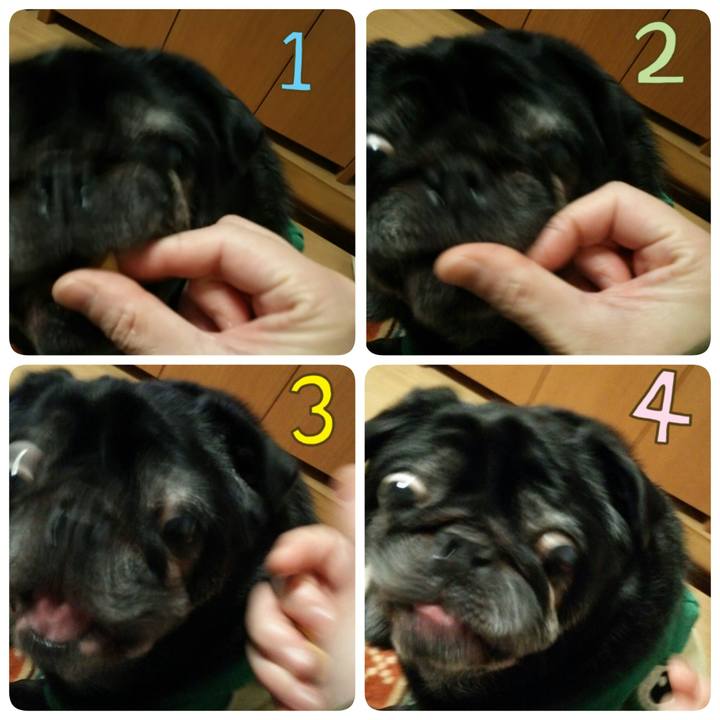 Ce1bf97a 6dd0 4d5e b458 897757de2fe8