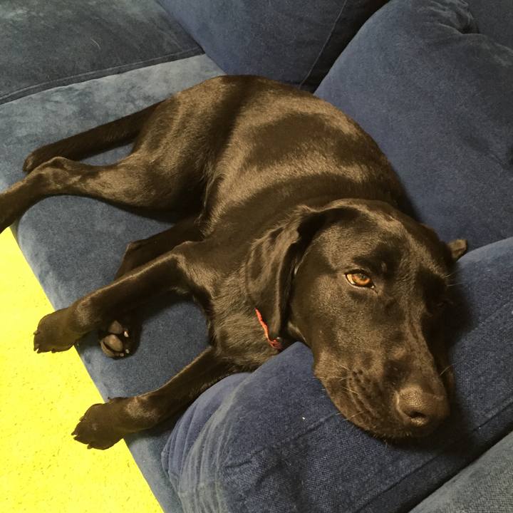 Ce1c3366 4709 4a4c a26b 7741310cc4e4