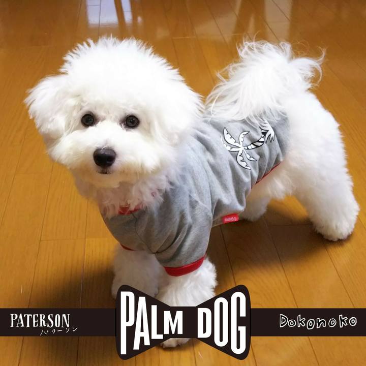 Ce1c7460 bf3b 475b a71e 60f131e17ceb