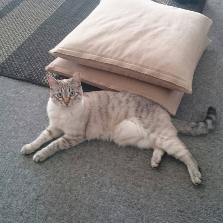 Ce1cbb1c f752 4551 b0ef 7045f78d1c6b