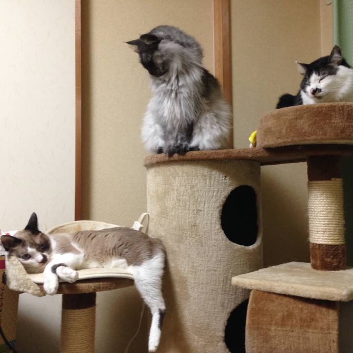 Ce1cfc71 fe6f 4547 94a8 d13d4093f673