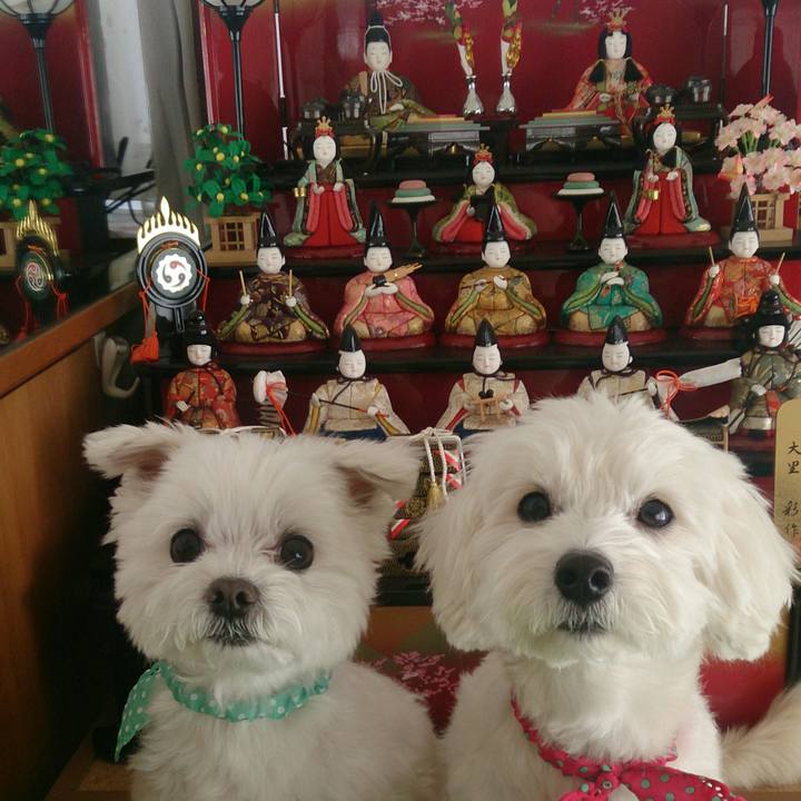 Ce1e50c4 6840 4ecb a694 f200845c4b34