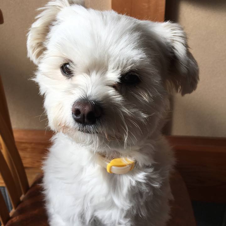 Ce1f0c9c 16d8 494c b7c5 fd743e9fbc3d