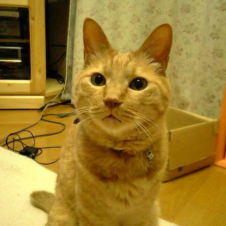 Ce205119 dd4b 4a8f a75d 7ad46a5c6fde