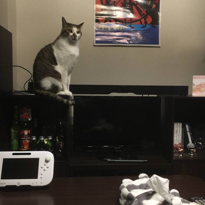 Ce205546 cdee 416e 8ce2 75c5cd0b3432