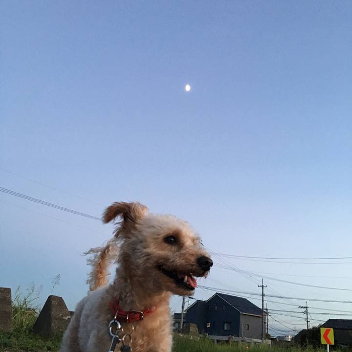 Ce212f6b 23ca 46ab 95f5 4a394bb26d7a