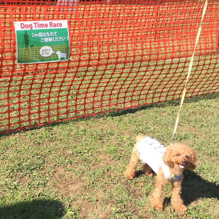 Ce23aec3 1a24 48c0 a10c 7b6210d431cf