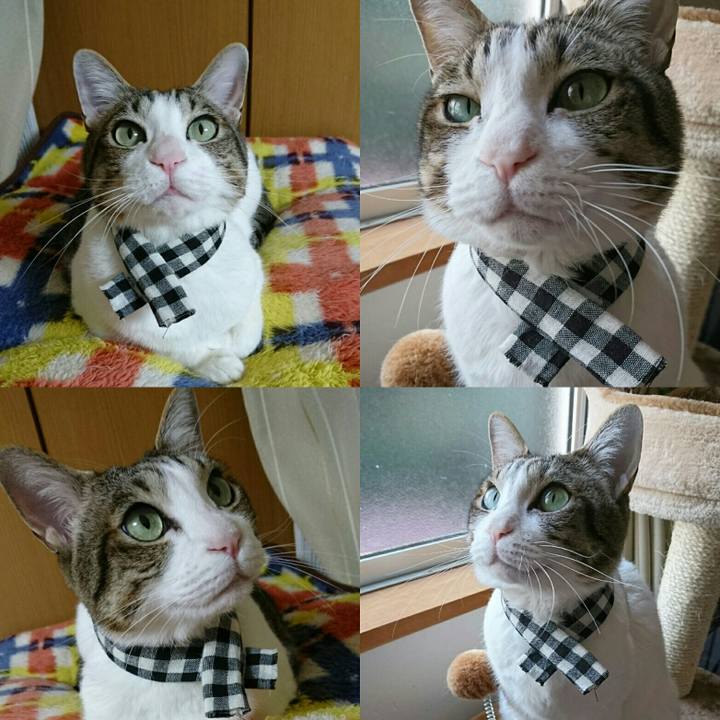 Ce23d3f9 9d8f 4a24 a2d1 d9873ab580da