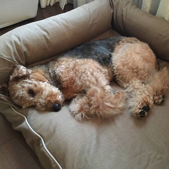 Ce23e4c6 da5b 46bb 89c8 e4bf029c1cf9