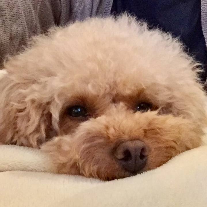 Ce240c49 c5be 4e33 b292 22f04c2c26f7