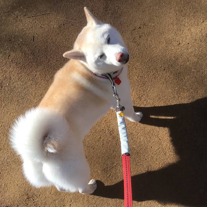 Ce247409 671d 4684 8295 55239970571e