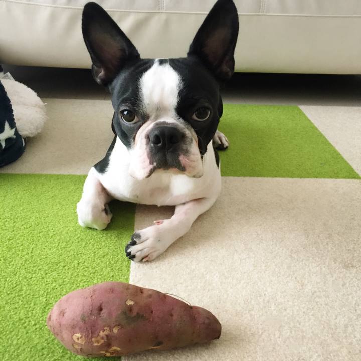 Ce24f9c0 8ce9 47e5 a2f3 ae7ac5311496