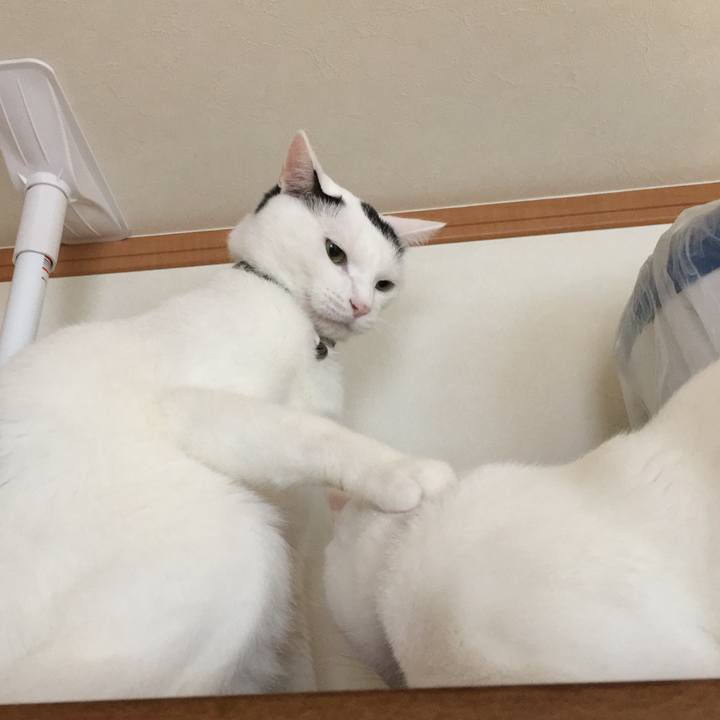 Ce250e32 3abd 4d2e 82b1 7a18b6f2b3f5