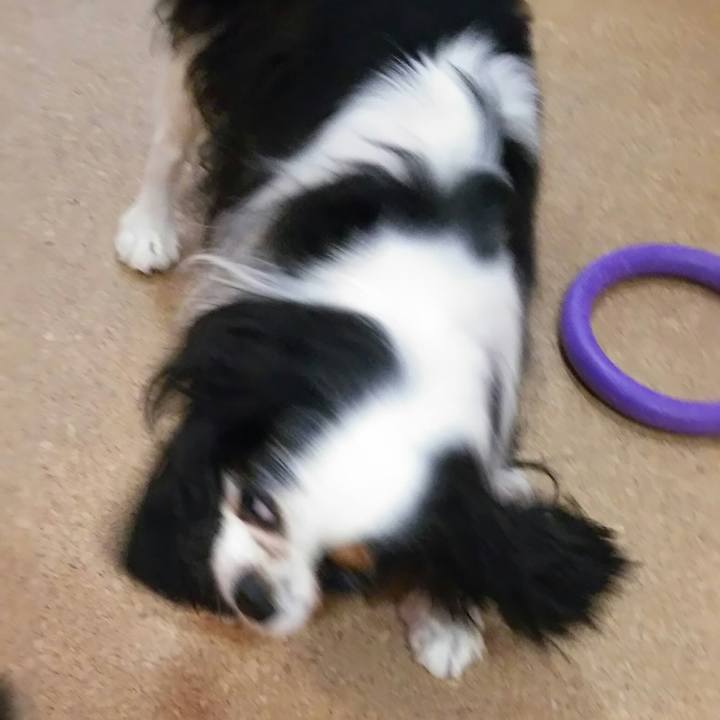 Ce268164 2460 4841 abf5 4c2de975d6f8