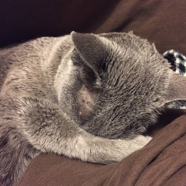 Ce26bdf1 f721 4a02 855a 167f65bd147c