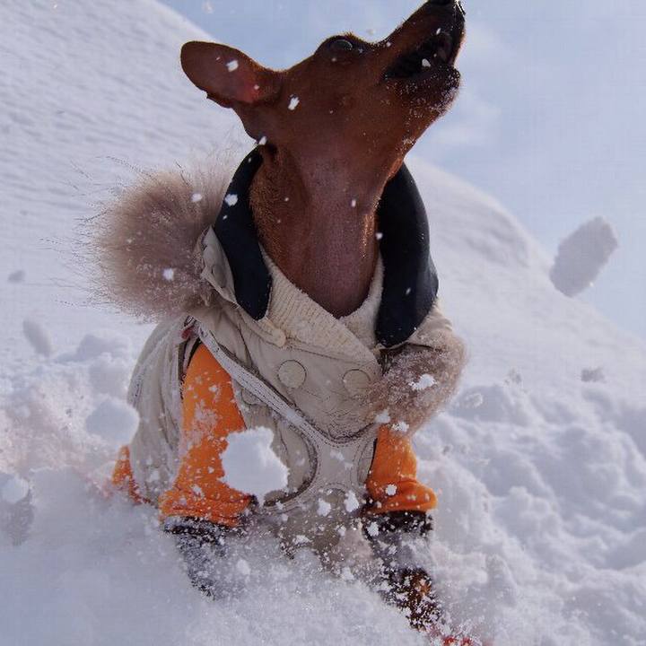 Ce27bd47 221f 4ea4 b9b8 ecae924f60c9