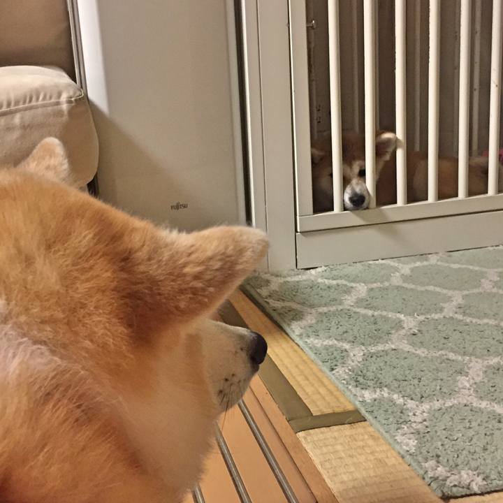 Ce2838b1 2ee0 4e49 b720 e31213312517