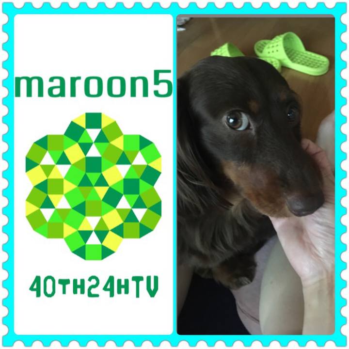 Ce295314 a4d3 4b69 b5f6 c515f6caab67