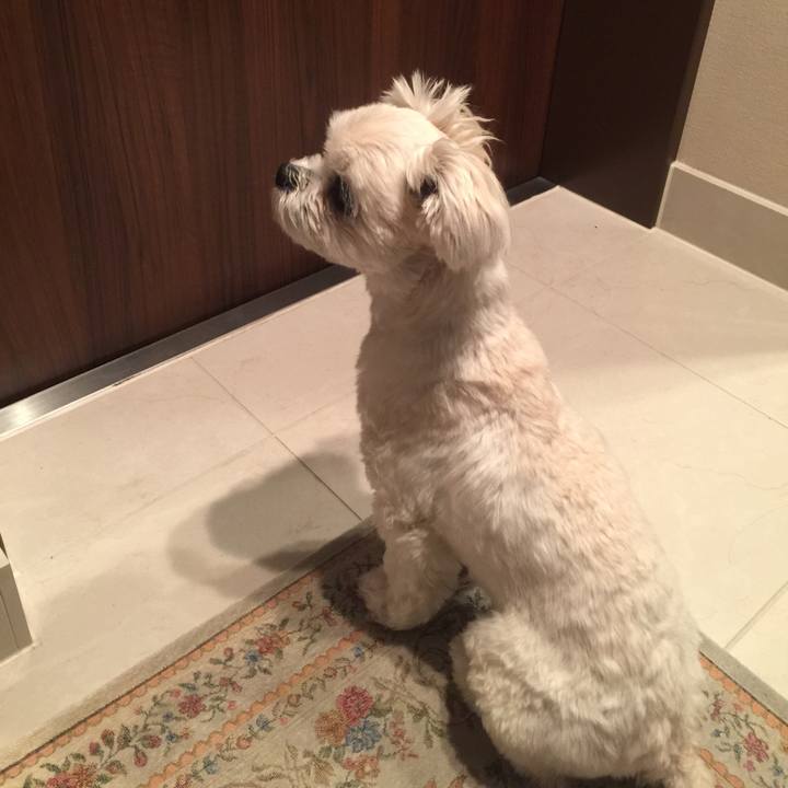 Ce297593 d39e 4255 9bda 289c20712d63