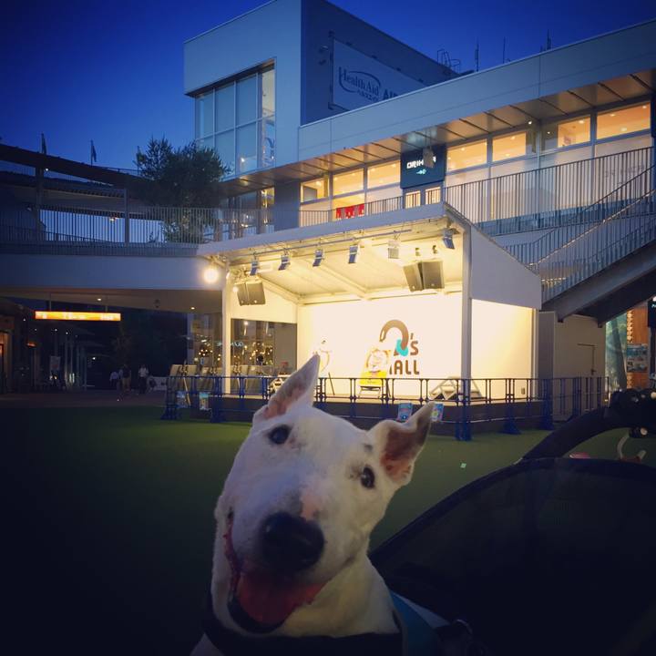 Ce2977b3 d9d3 4c59 8147 20462a58e64f